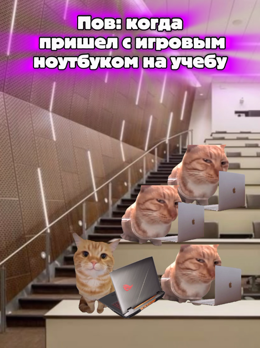 @MisterCat