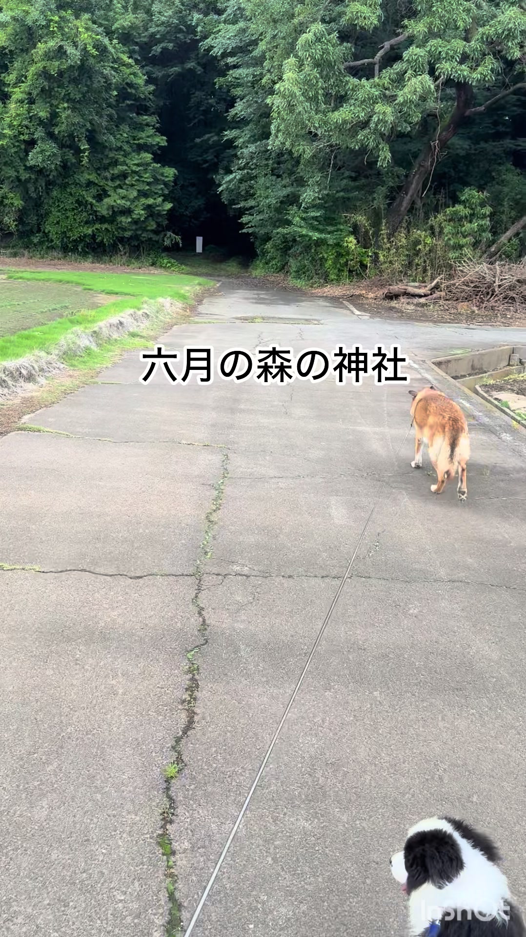 @ミウラ&bull;リョーコ(イーツカ&bull;リョーコ)
