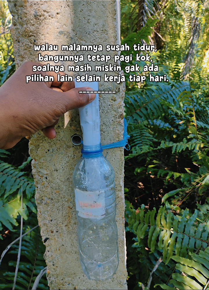 @Ikhwan 🇮🇩