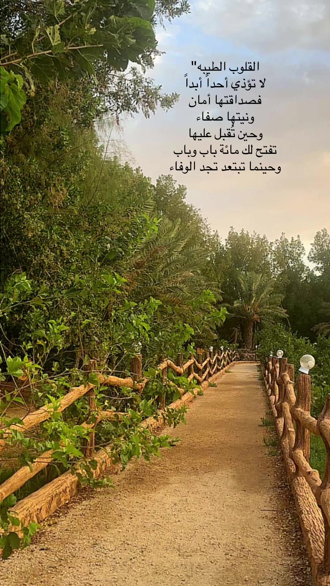 @Om hisham