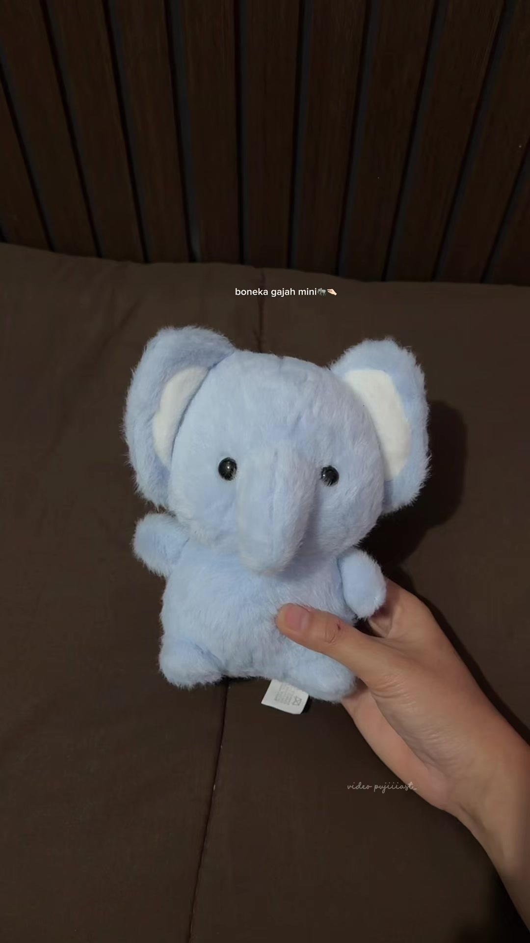 @pujiiiast_