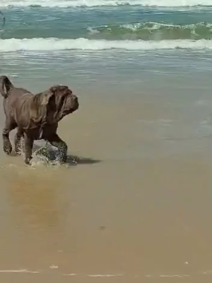 @Владимир