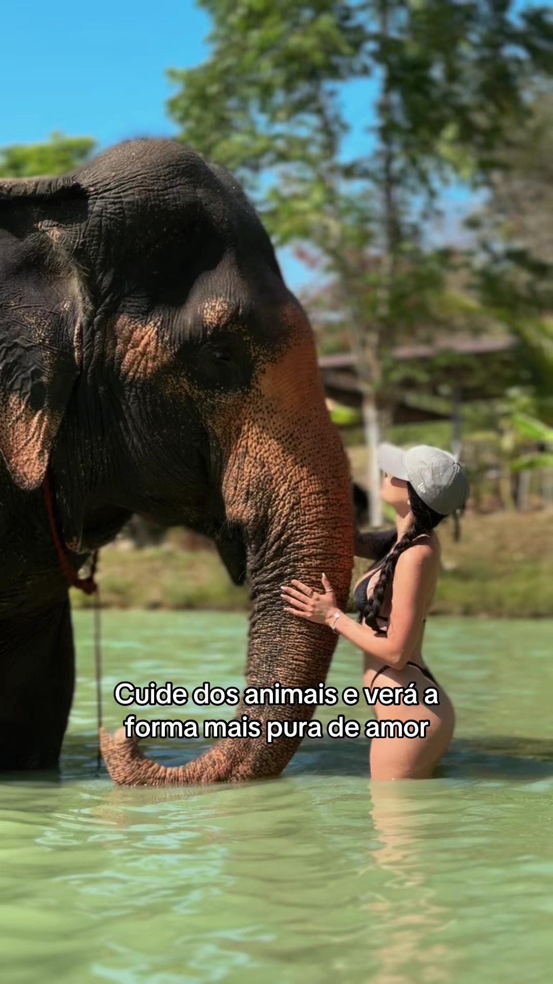 @Rafa Amorim