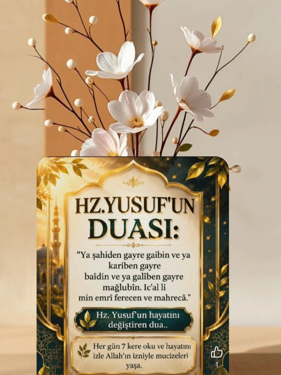 @hayat nereye gidiyor