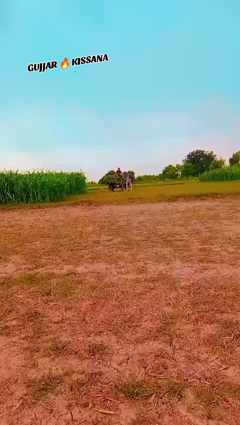@𝐆𝐔𝐉𝐉𝐀𝐑 𝐊𝐈𝐒𝐒𝐀𝐍𝐀55