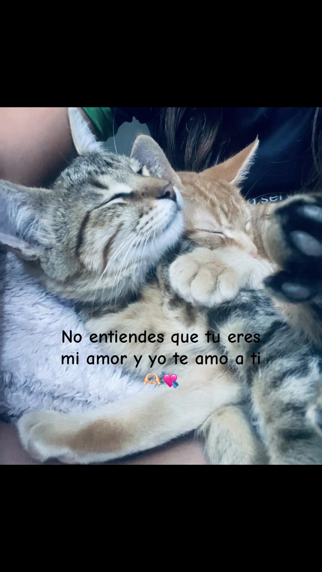 @Renuu💗