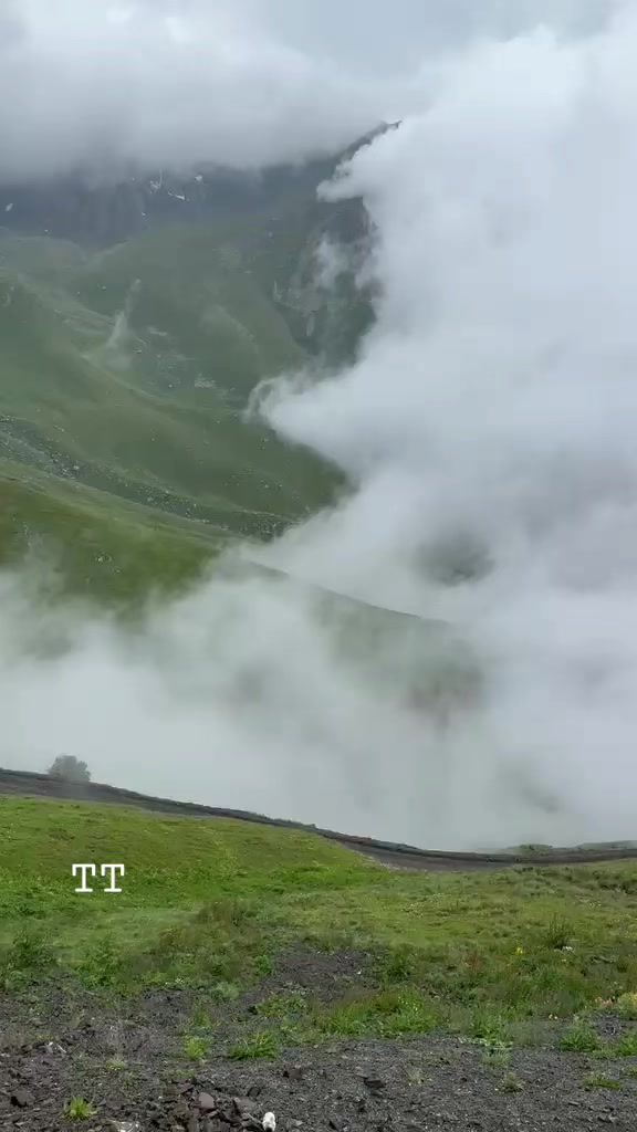 @Guliyev Zaur