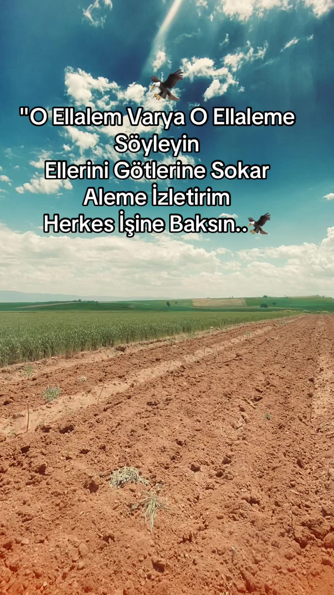 @Seziz adam😞