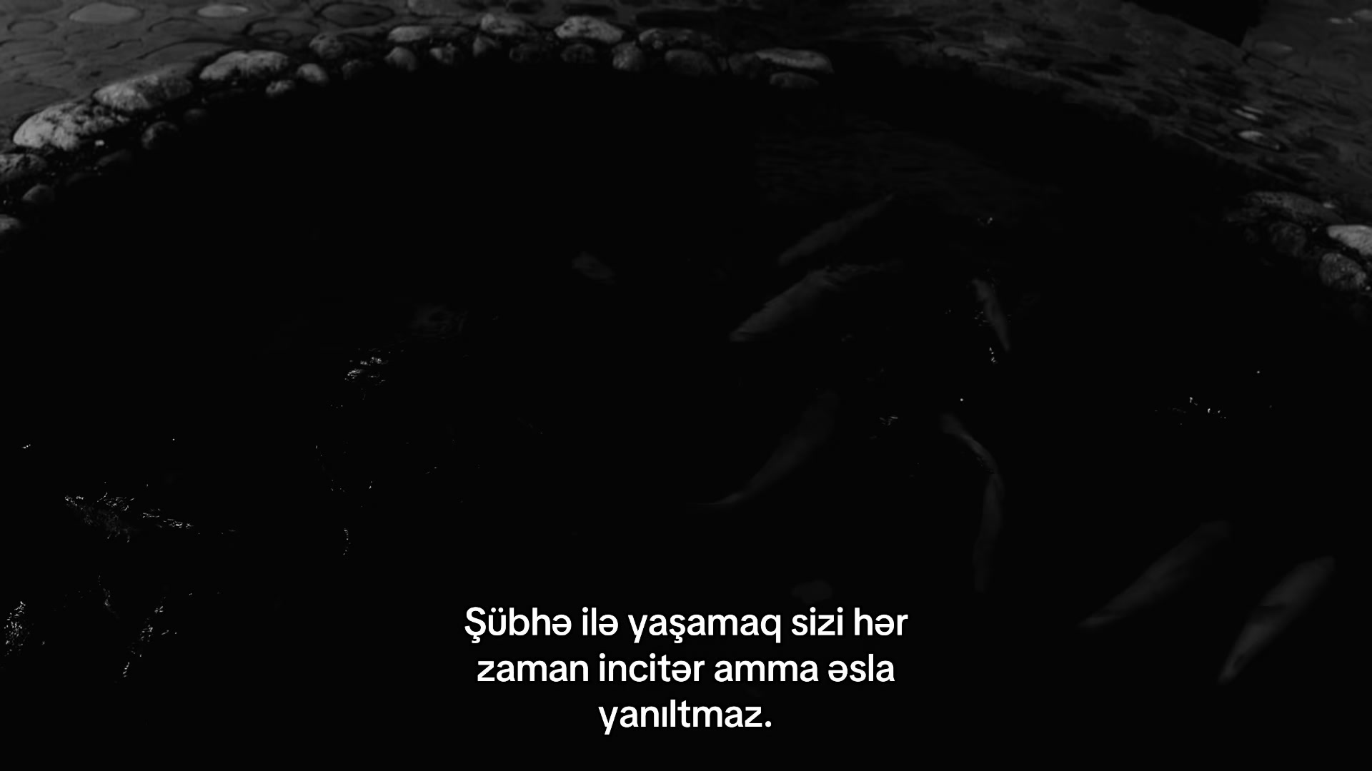 @Jafarov