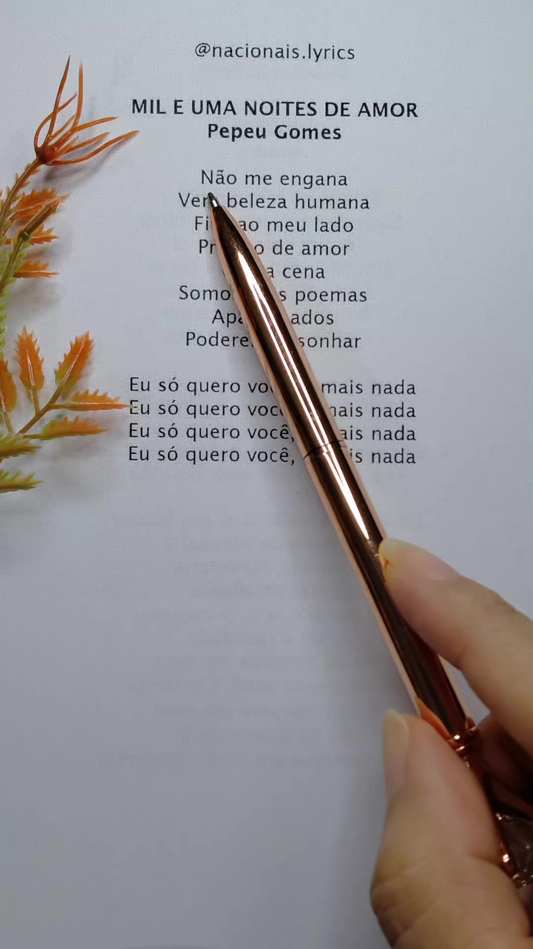 @nacionais lyrics