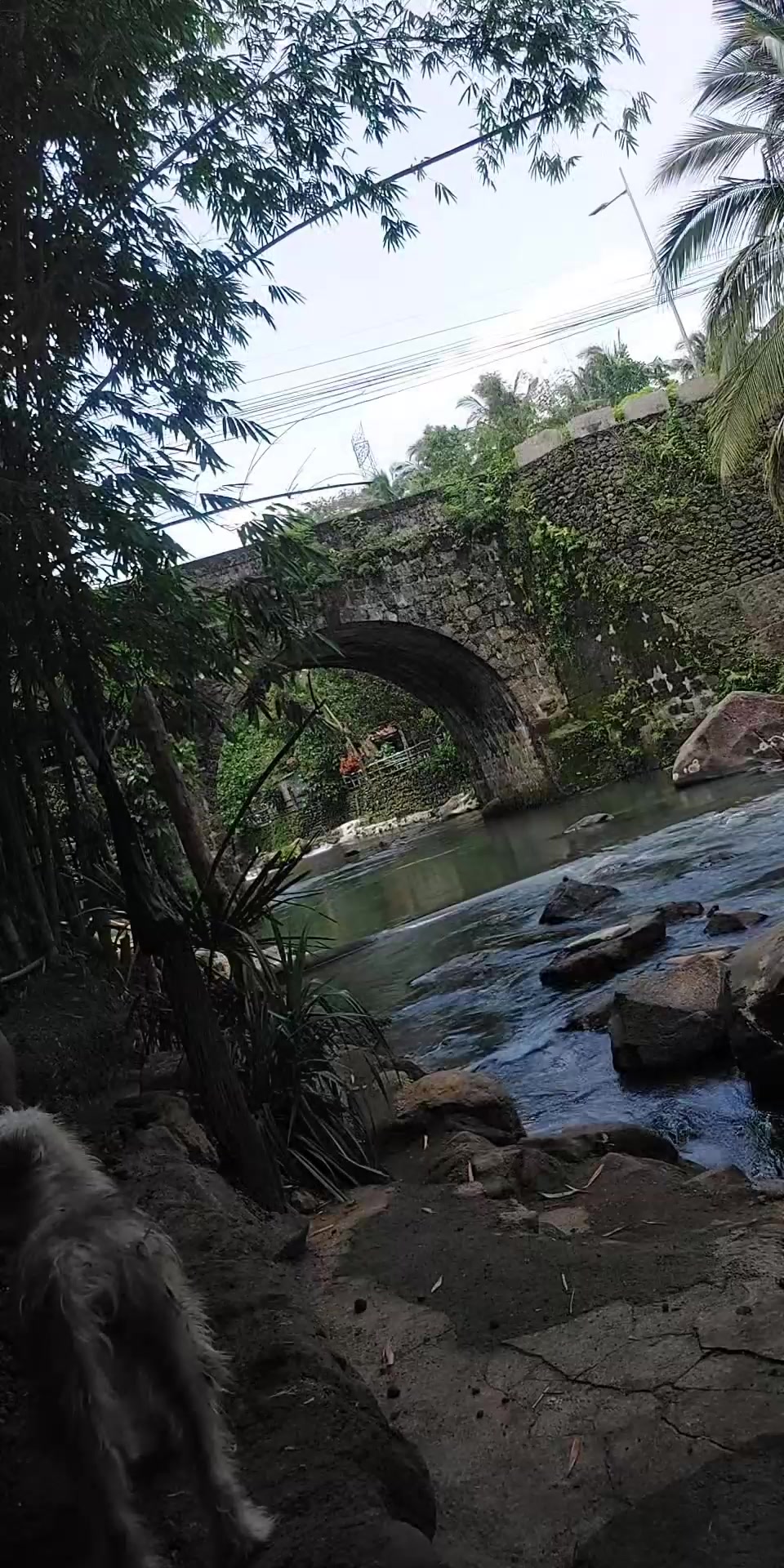 @eeduj🌈