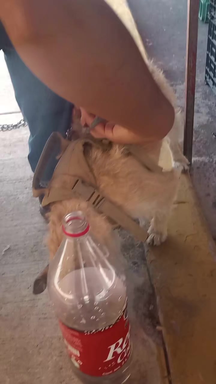 @Elyodaarana