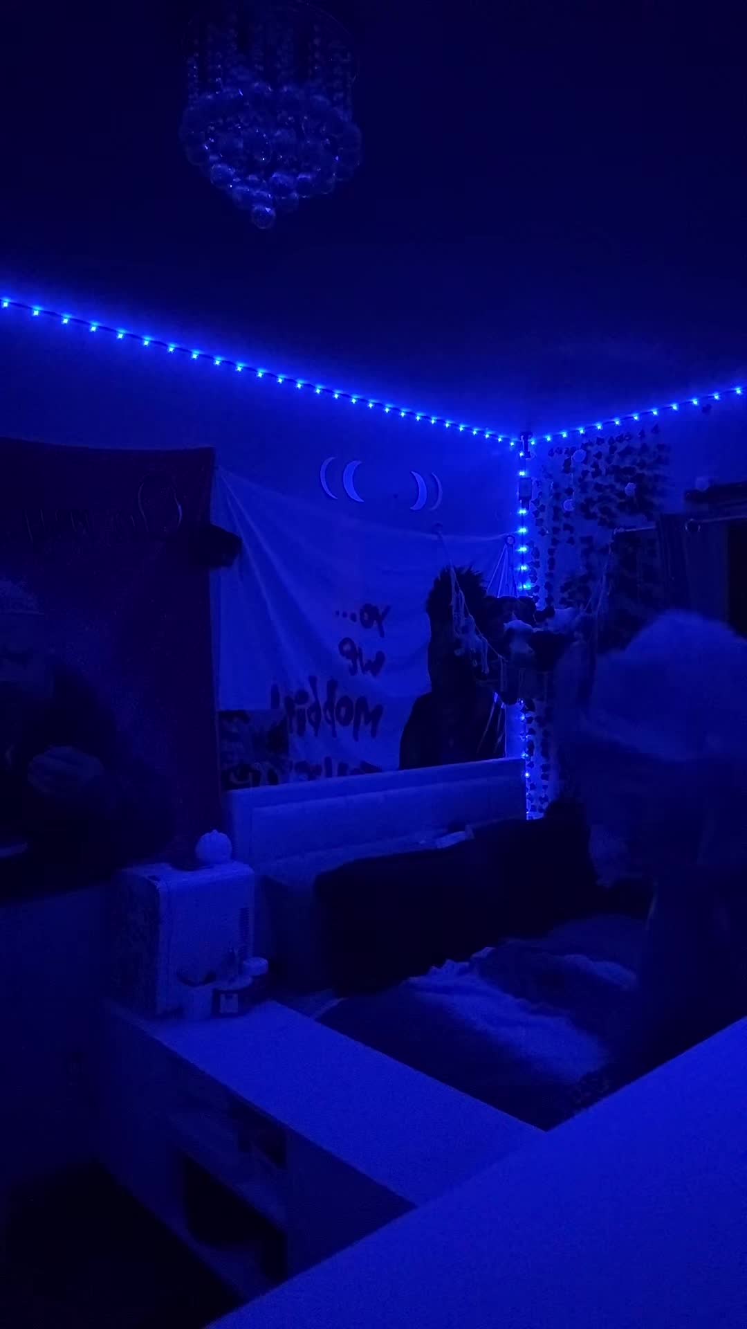 @angelicastuff