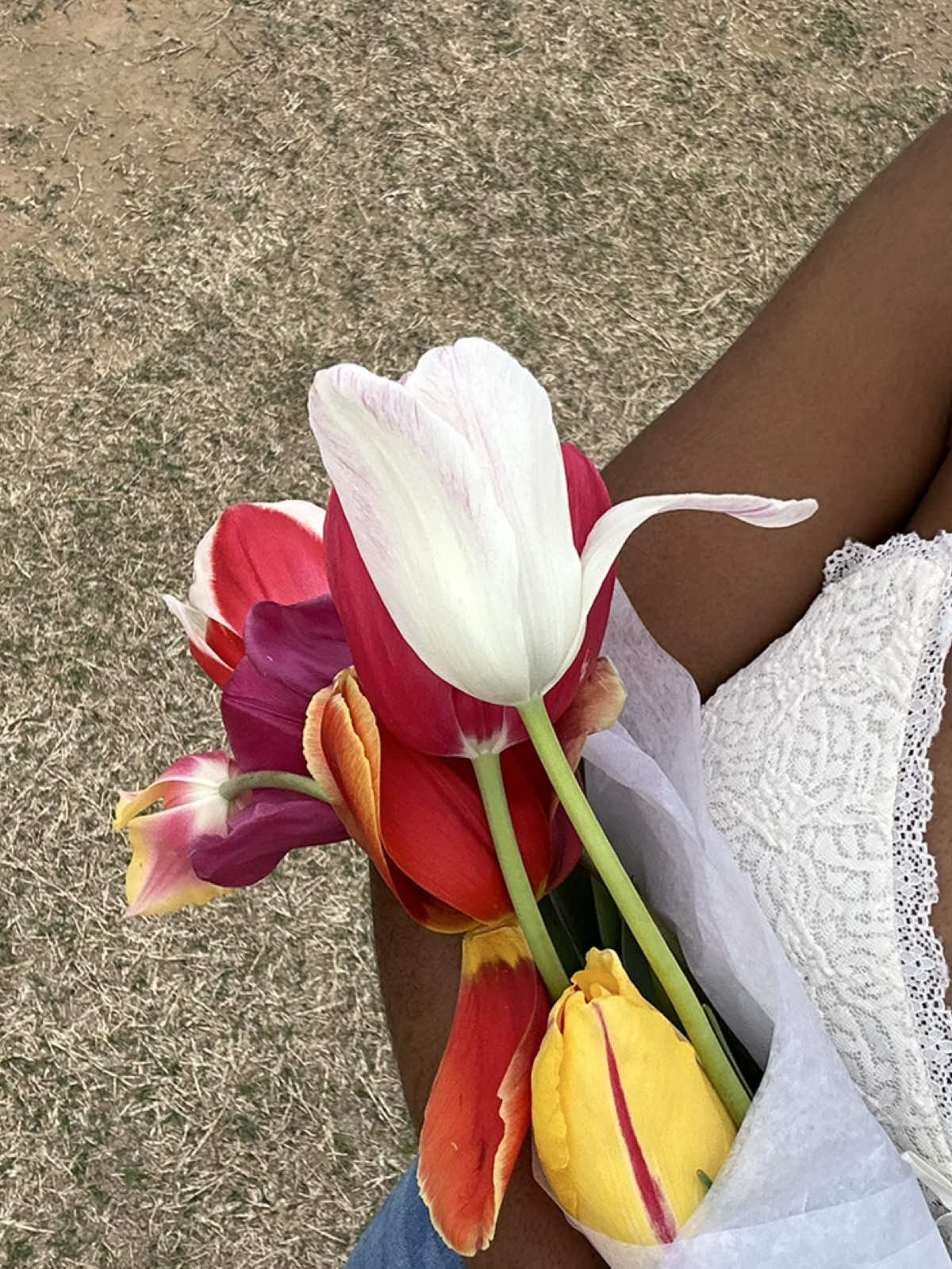 @Chaane1
