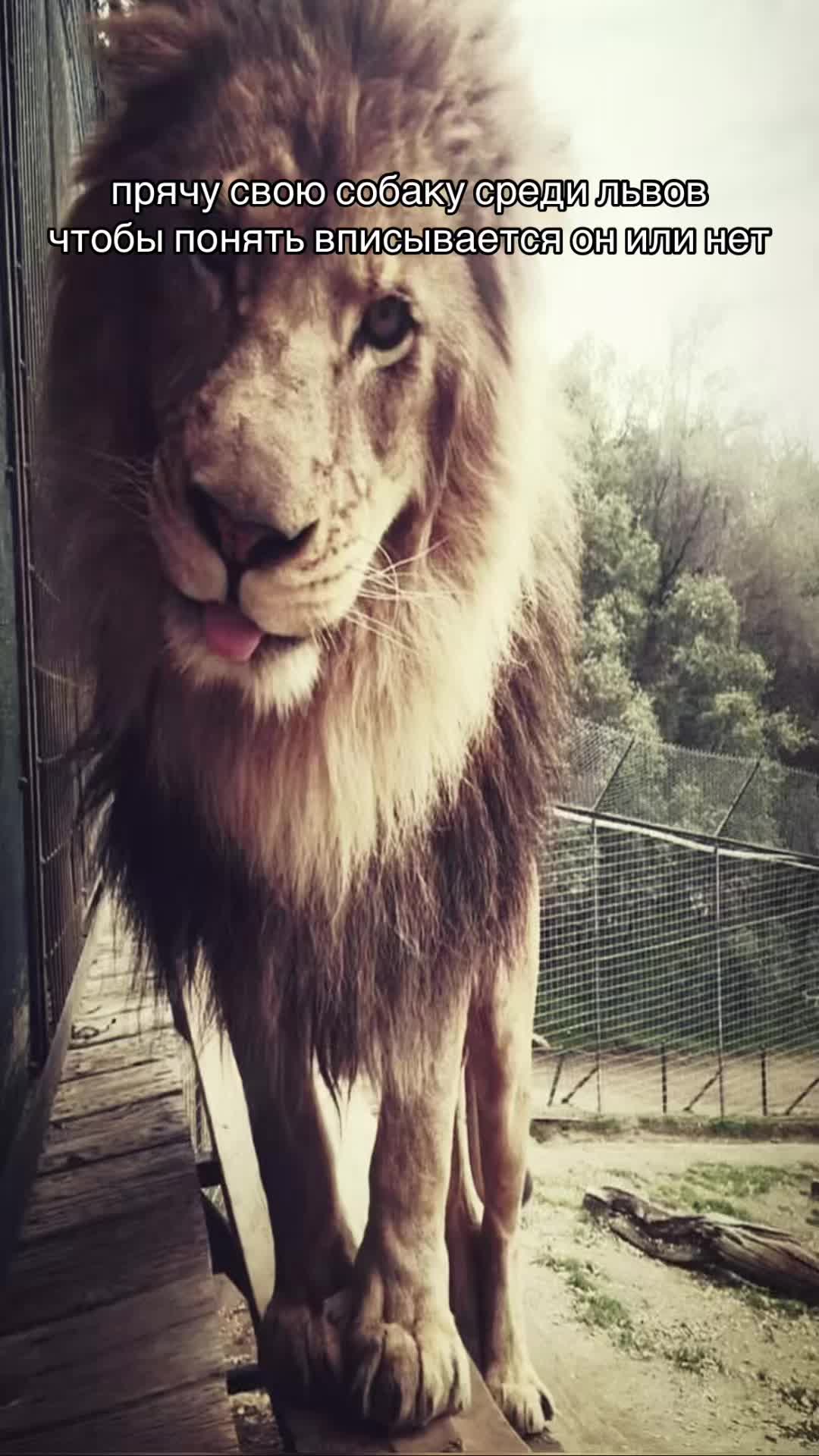 @ʙᴀʜᴏɴɪɴᴀ 𝄞