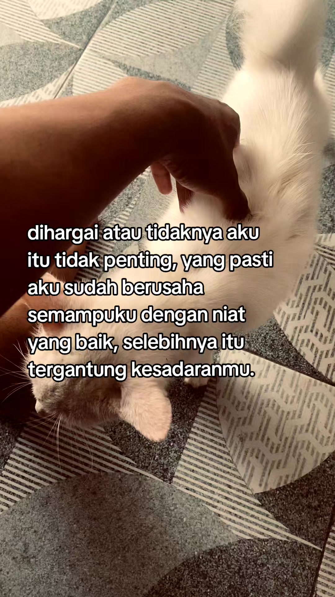 @Nofalll.