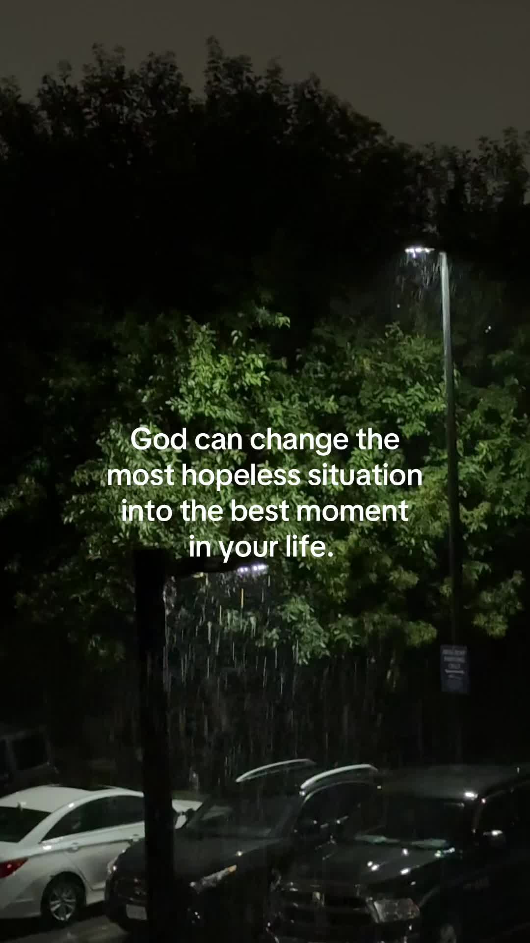 @ℒ ᥫ᭡