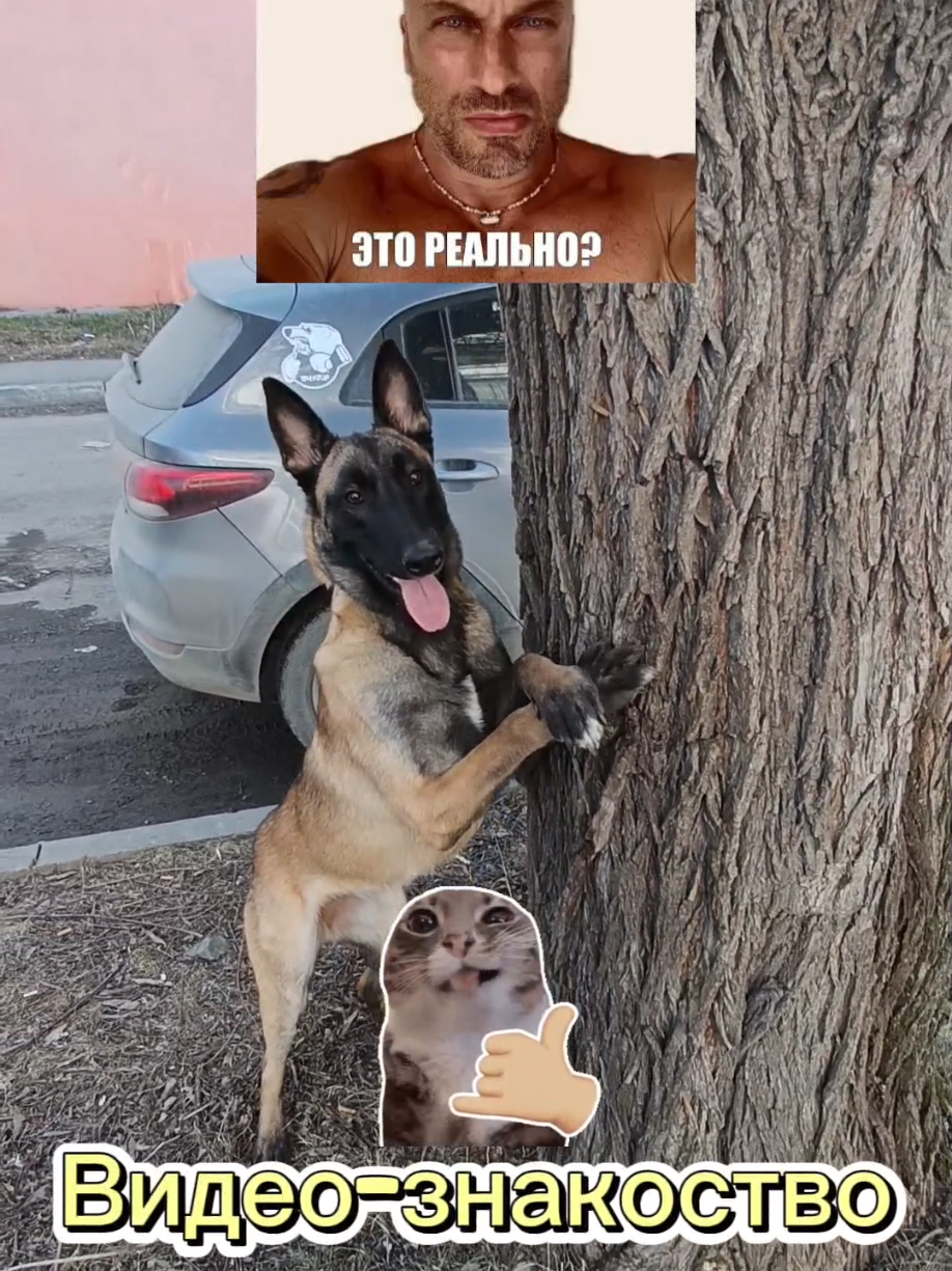 @⚡Кита from авито⚡