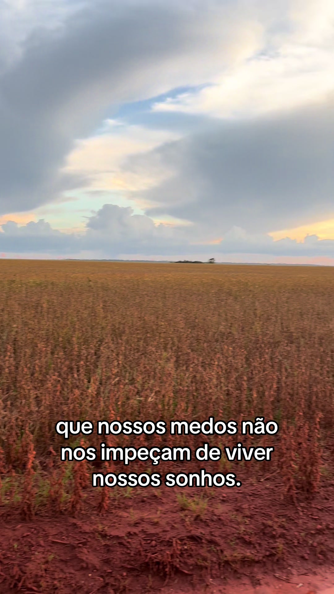 @Maria Eduarda 🍀🇧🇷