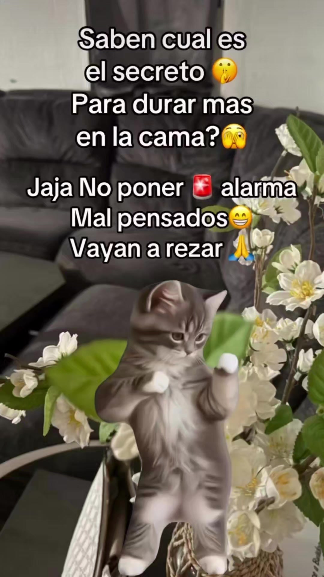 @Susana Chavez