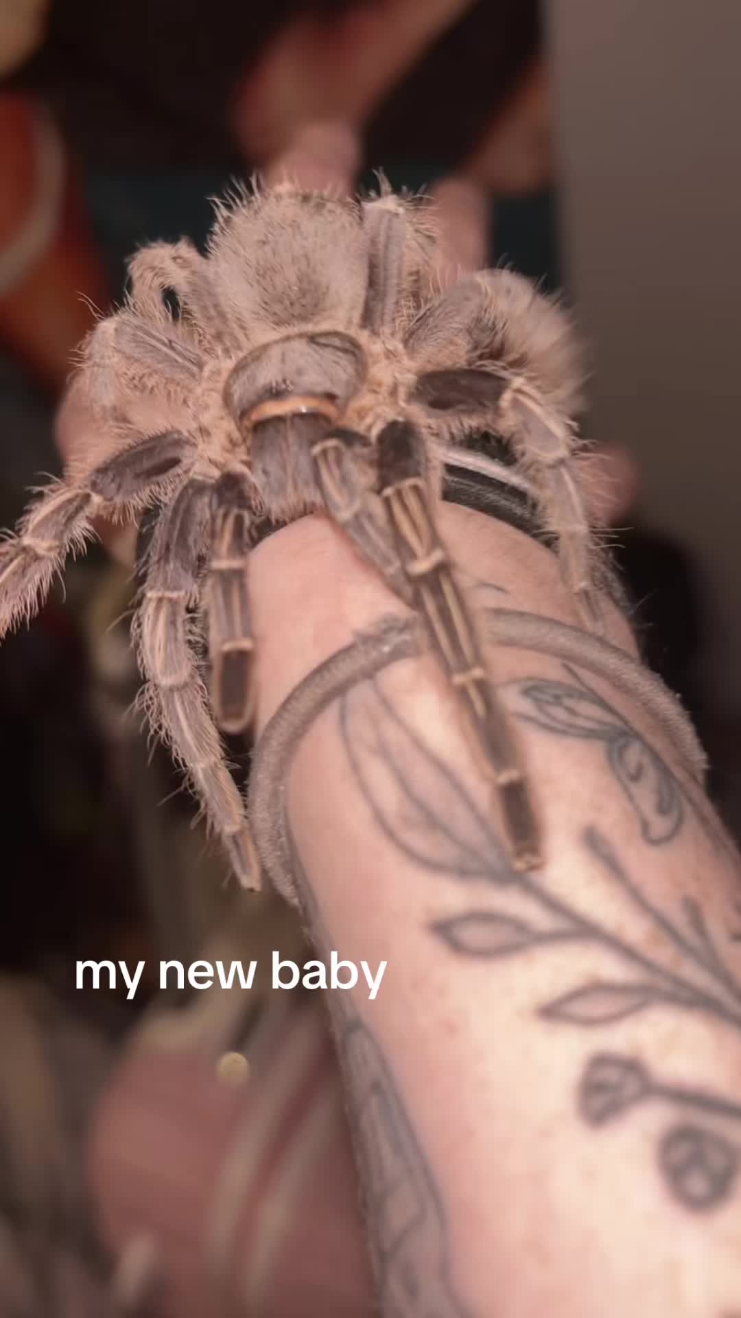 @Abigal