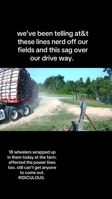 @Britt Gardner🪿🧺🫖🚜