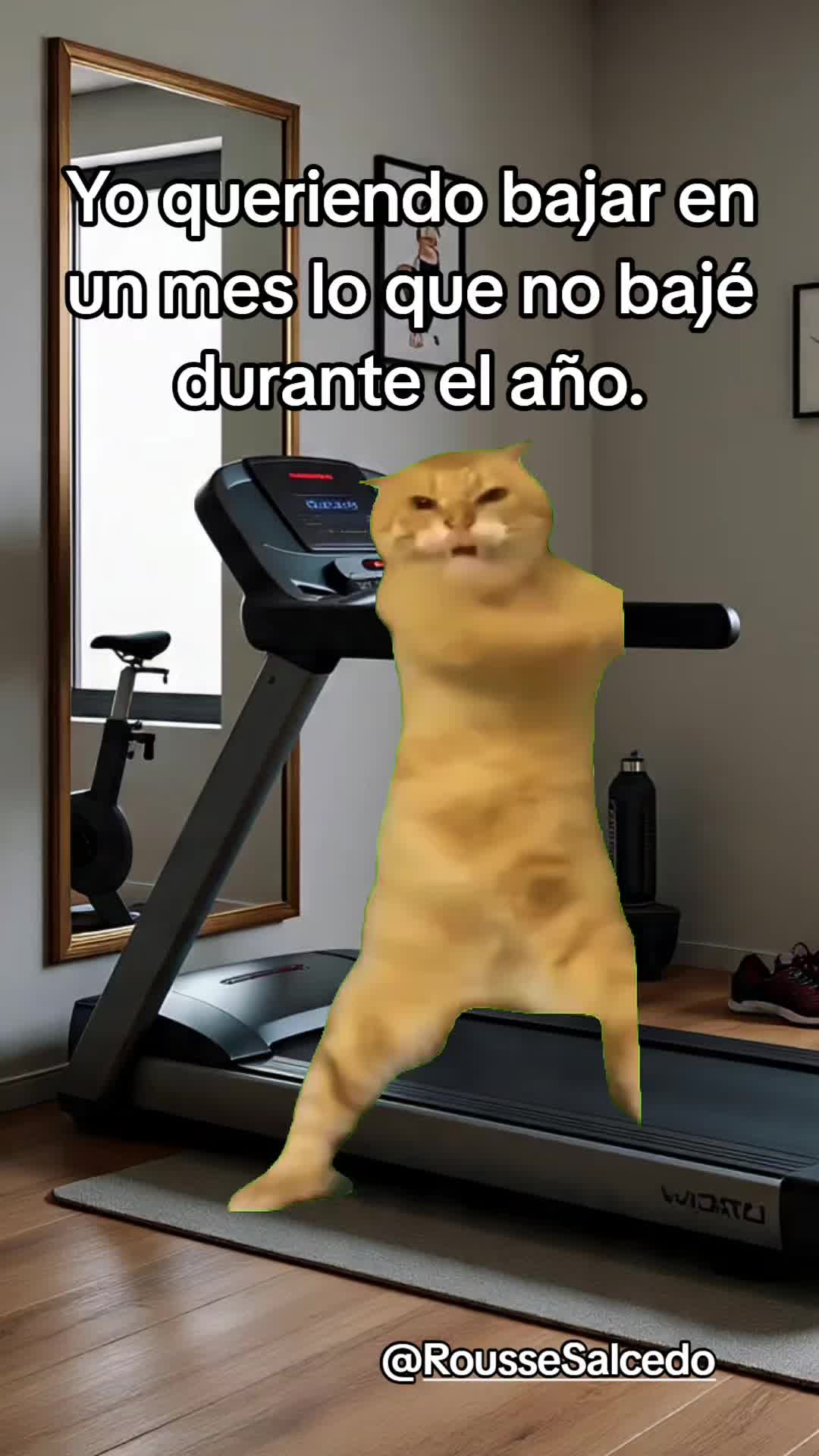 @Rousse Salcedo