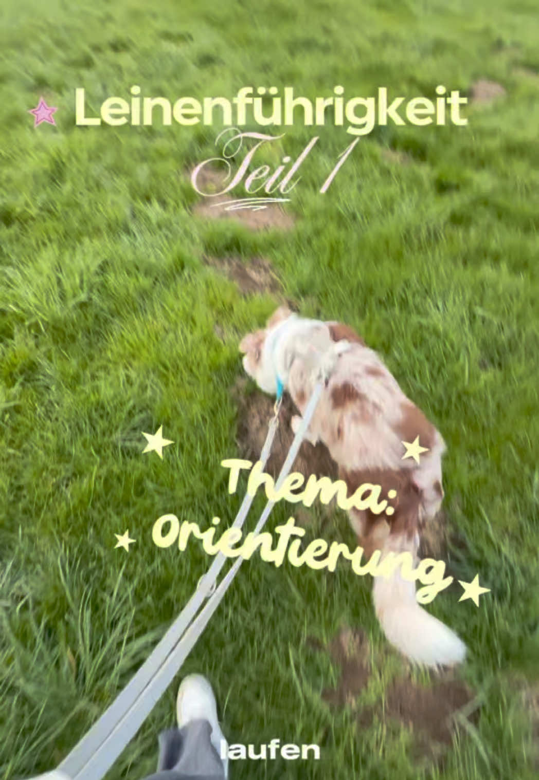 @Nele&Oakley🐶