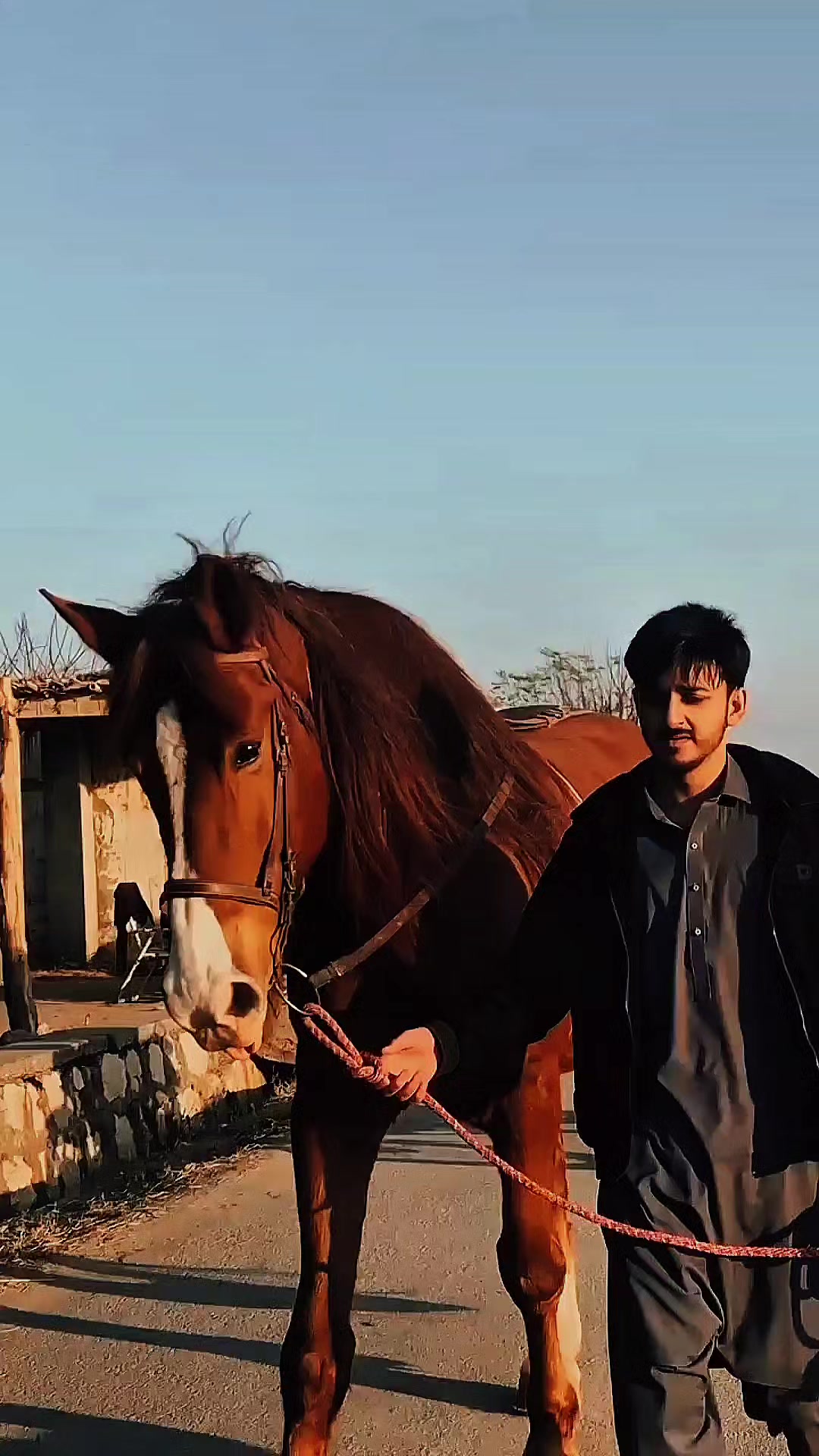 @مرکزی ذوالجناح تلہ گنگ
