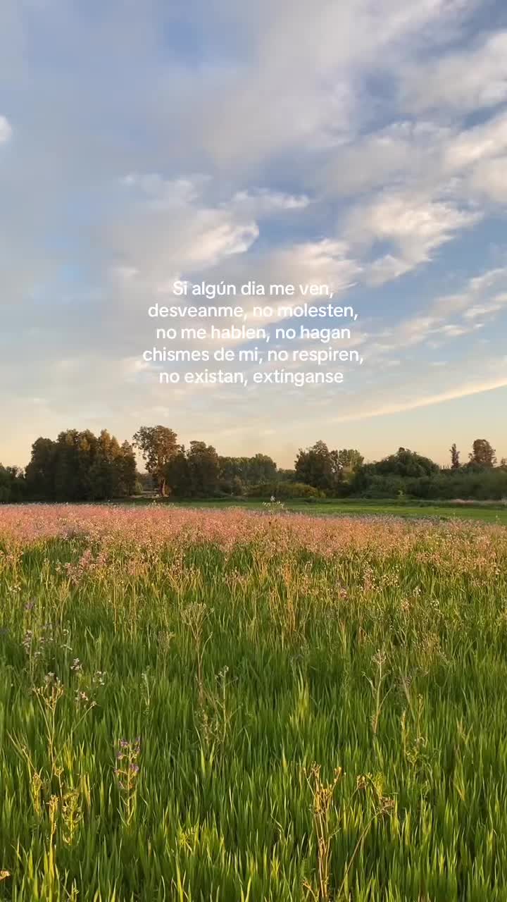 @merieee_.v