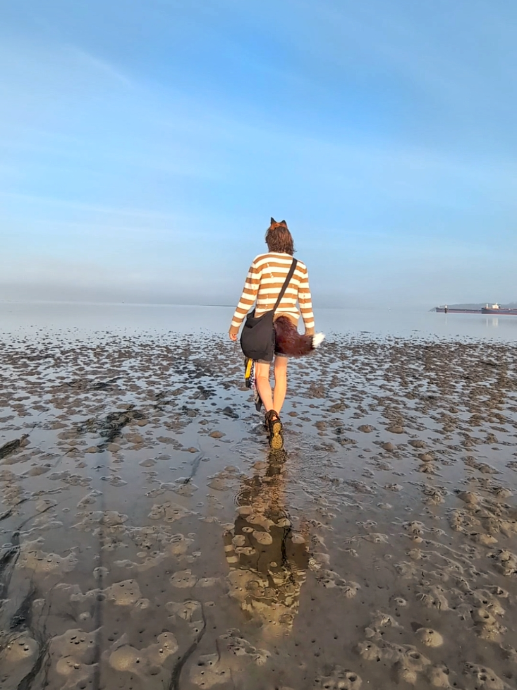 @Starlit Wolf