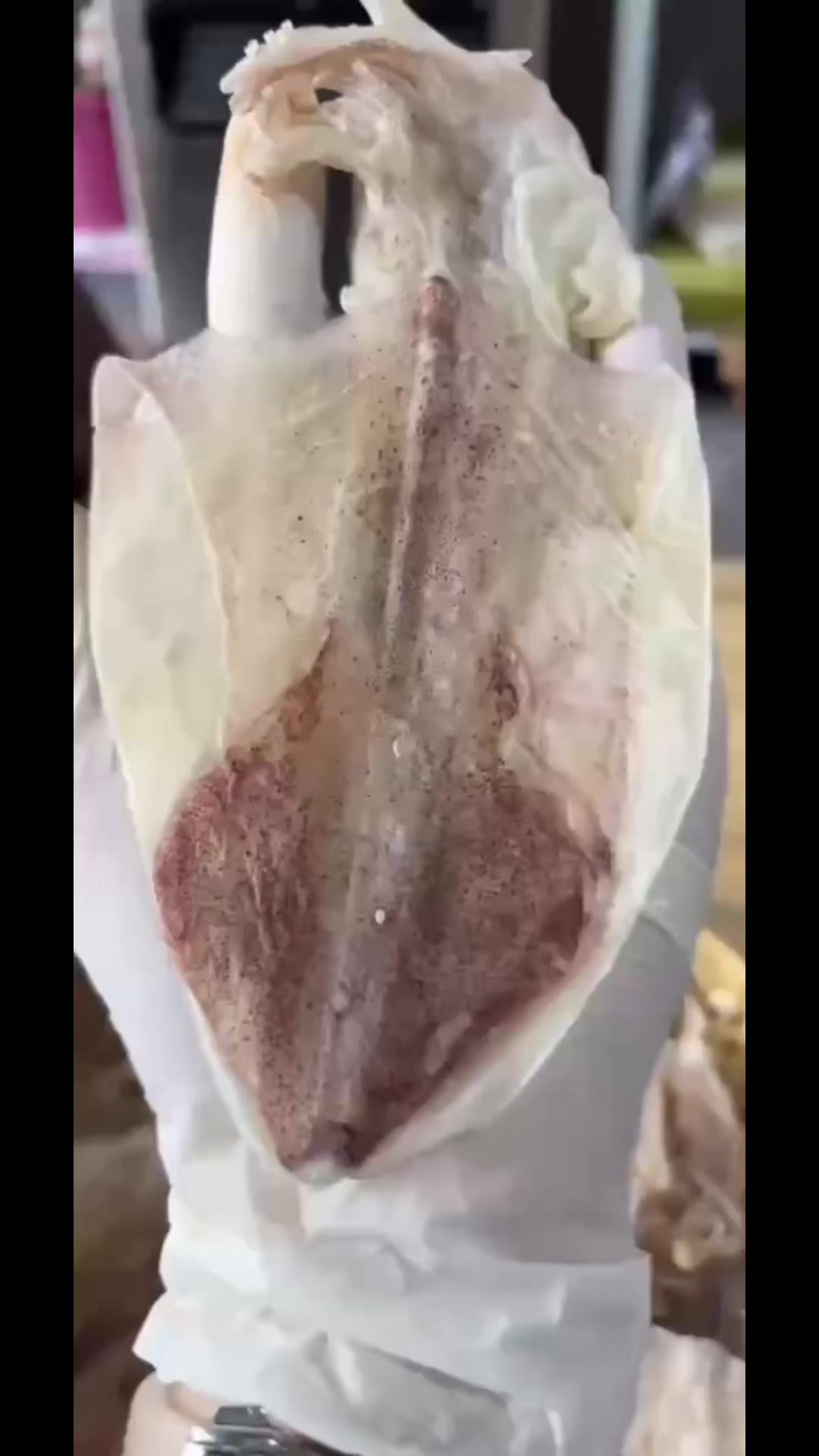 @Mai Điệp,tôm,cua,mực,cà mau.