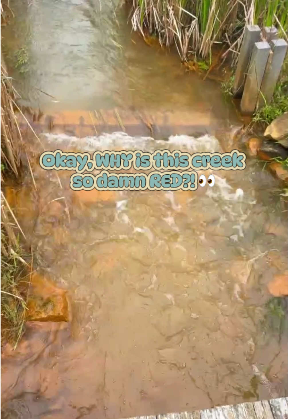 @LadyAstrid’s Snails 🐌 💦