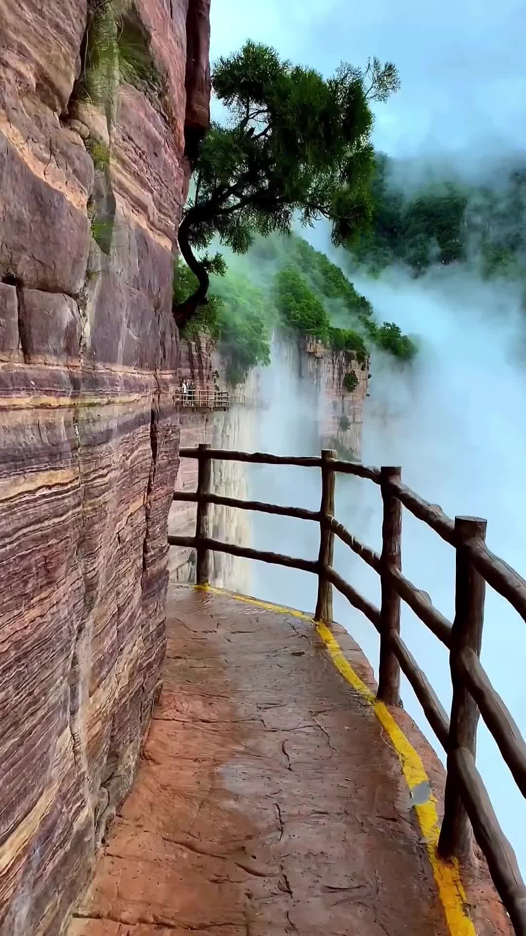 @Traveler