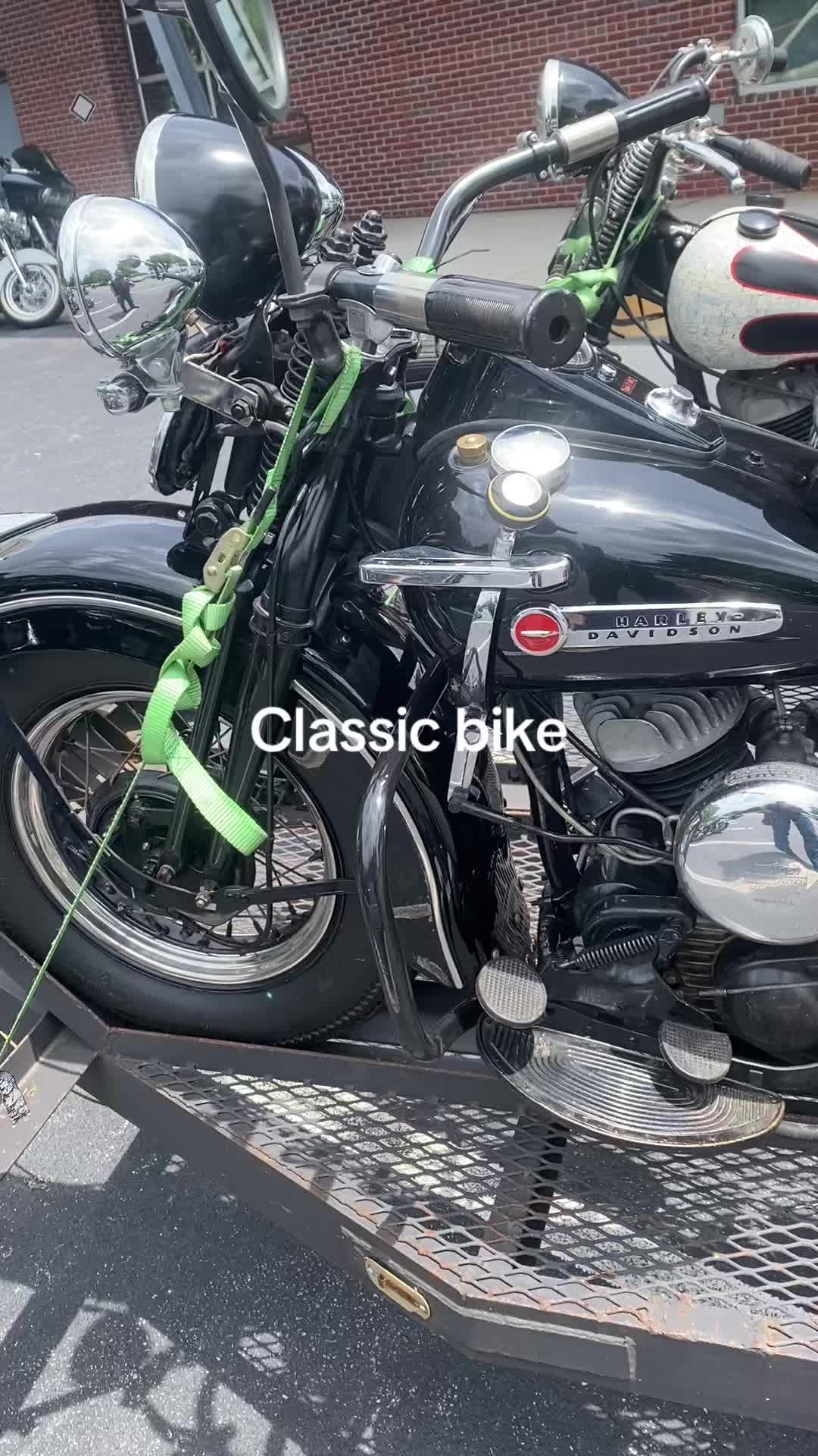 @Bulls Rider's