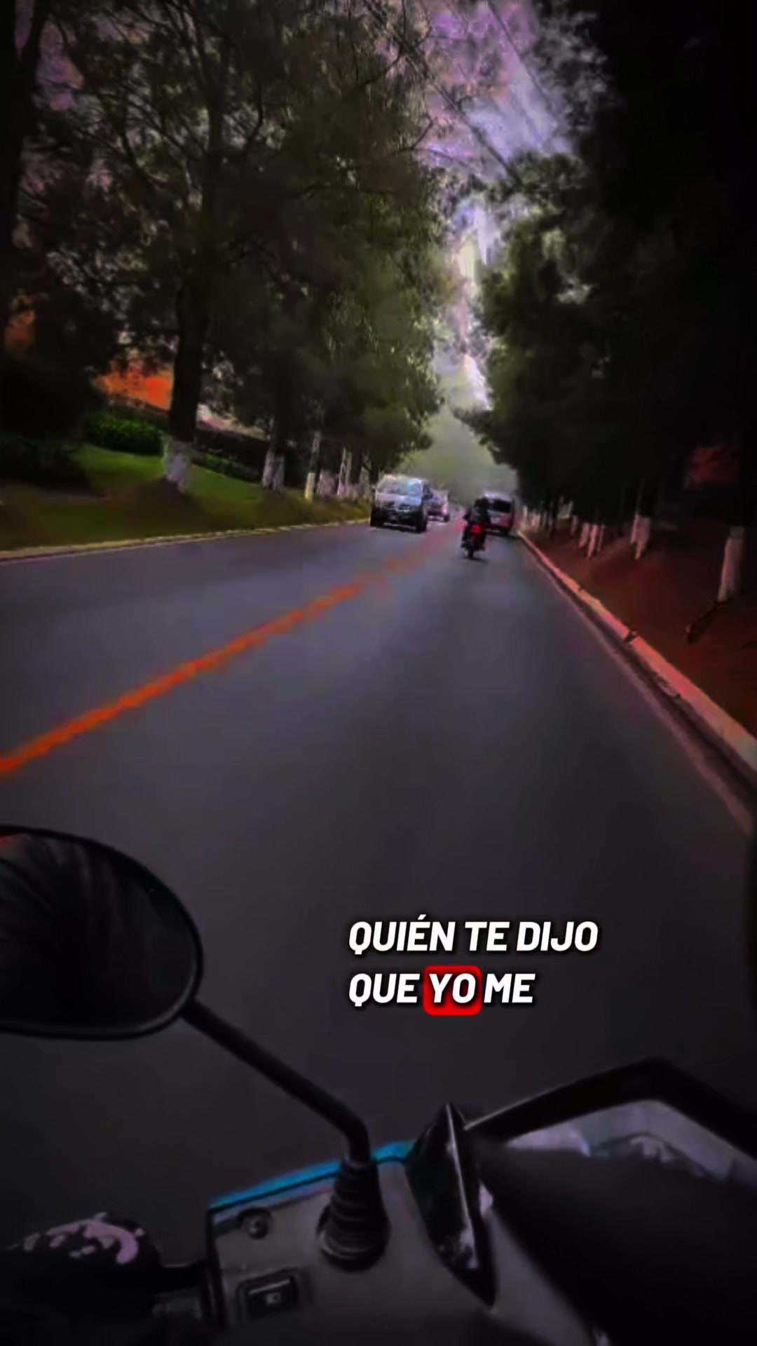 @anita nícol