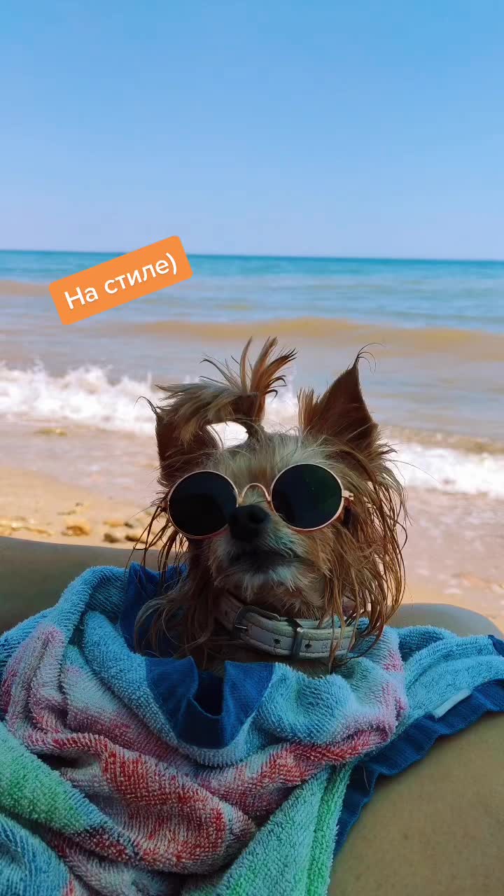 @Искусство ручной вышивки🎭