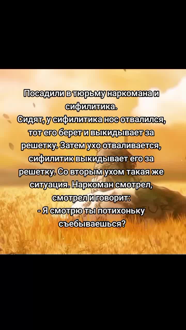 @Шутки от Торфинна