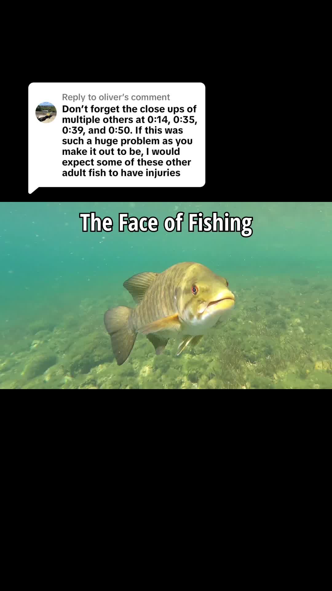@Elvis the Smallmouth
