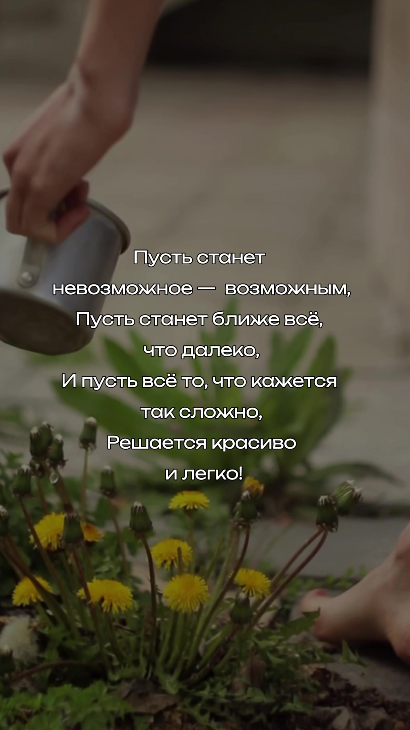 @Vera