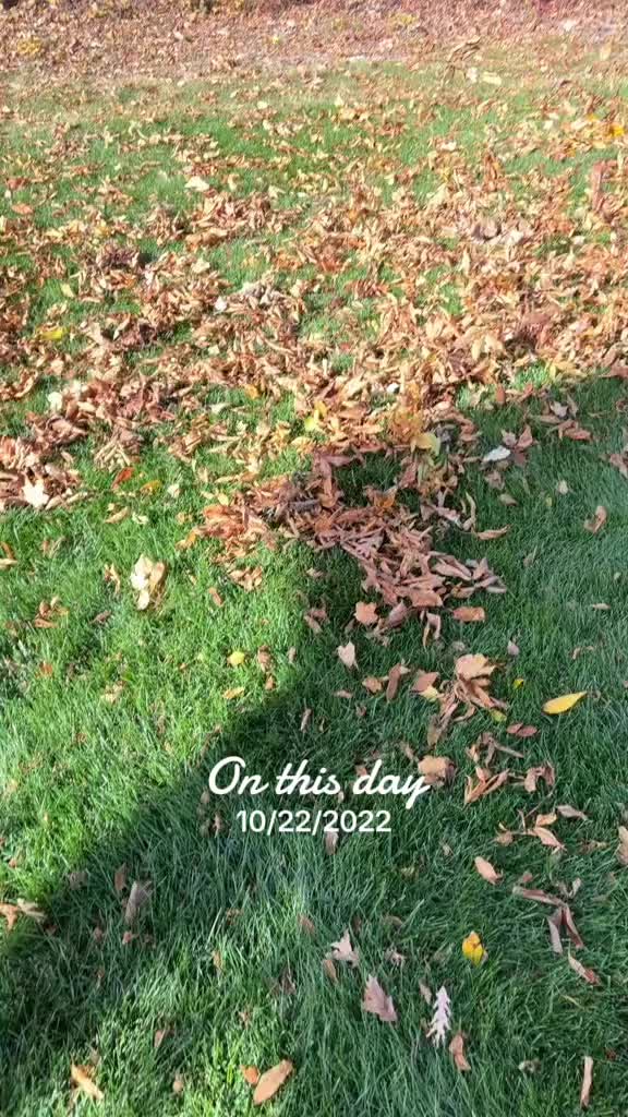 @turfrightlawncare