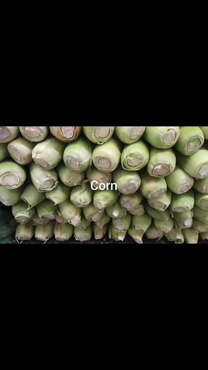 @IngredientBasics