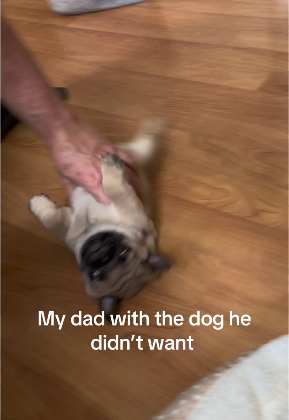 @thewinterpug