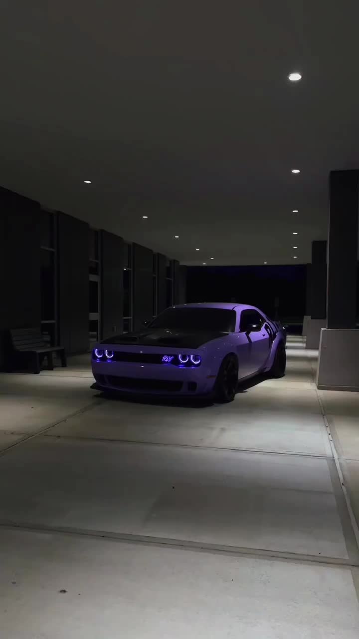 @Speed_Daniel🏁