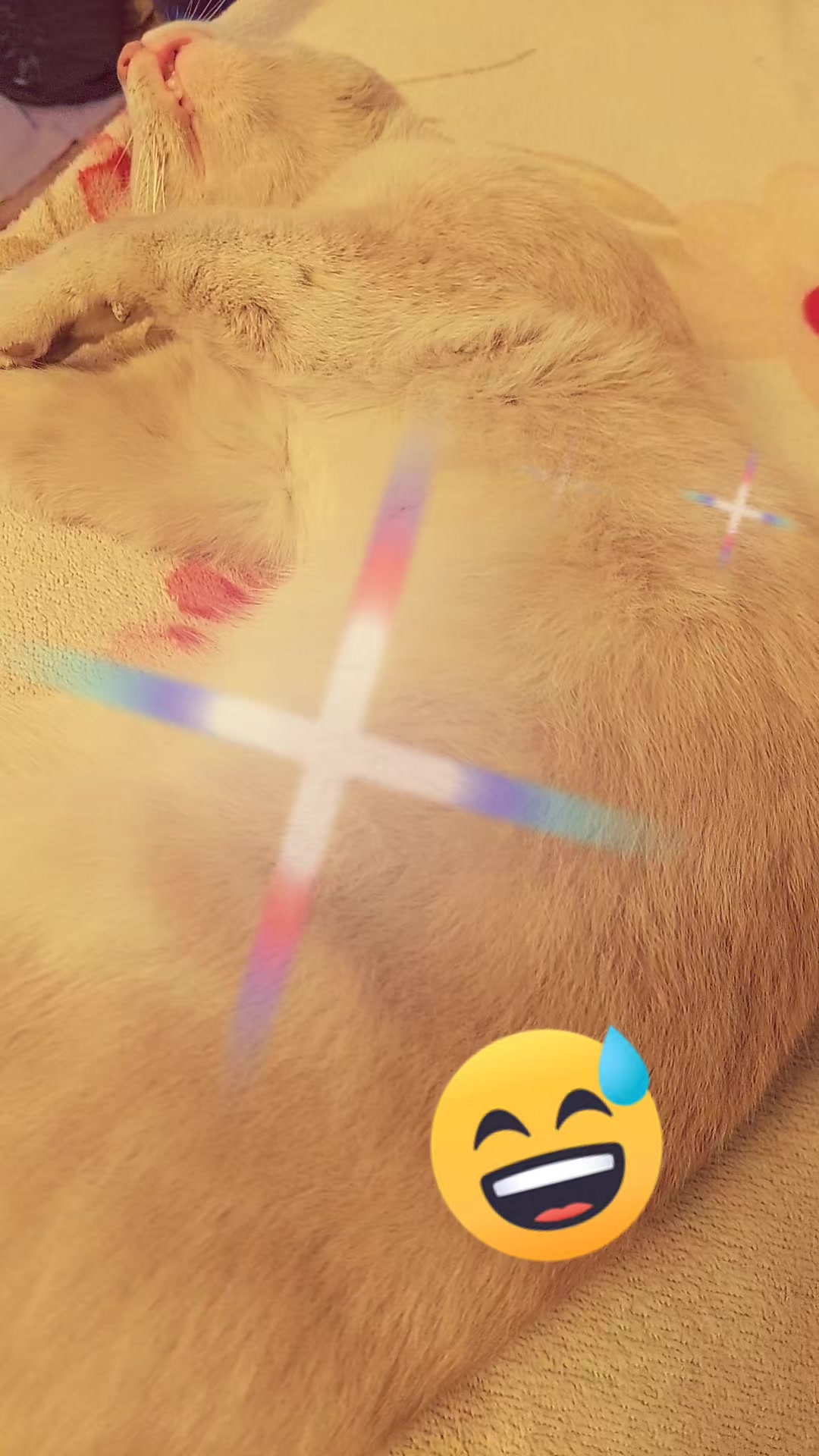 @๐ธ๐ต๐ชM@ND¥๐๐ฑ