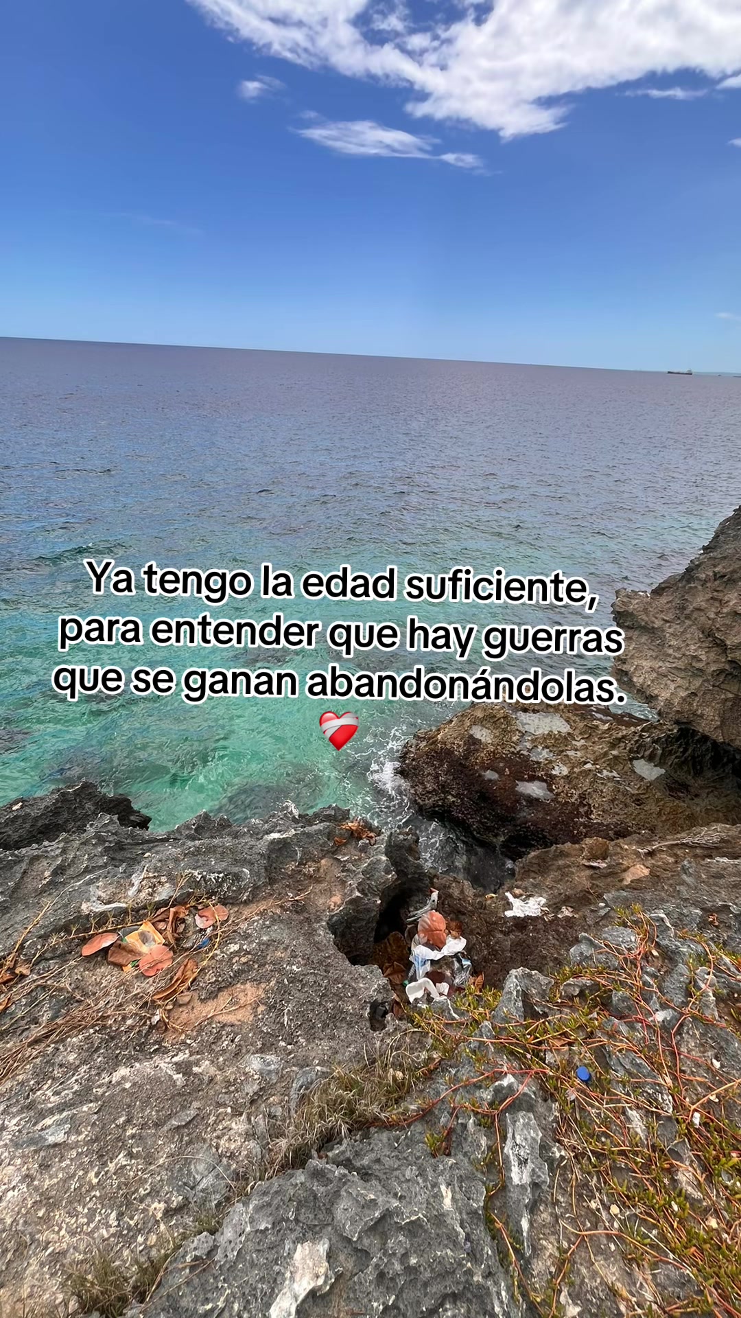 @Elizabeth Feliz