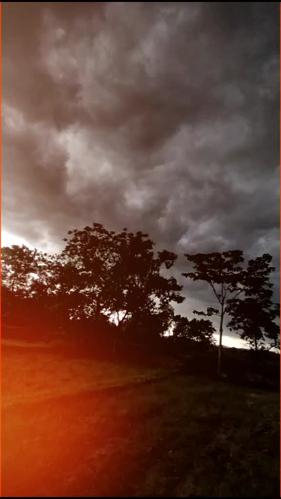 @Litu Polai