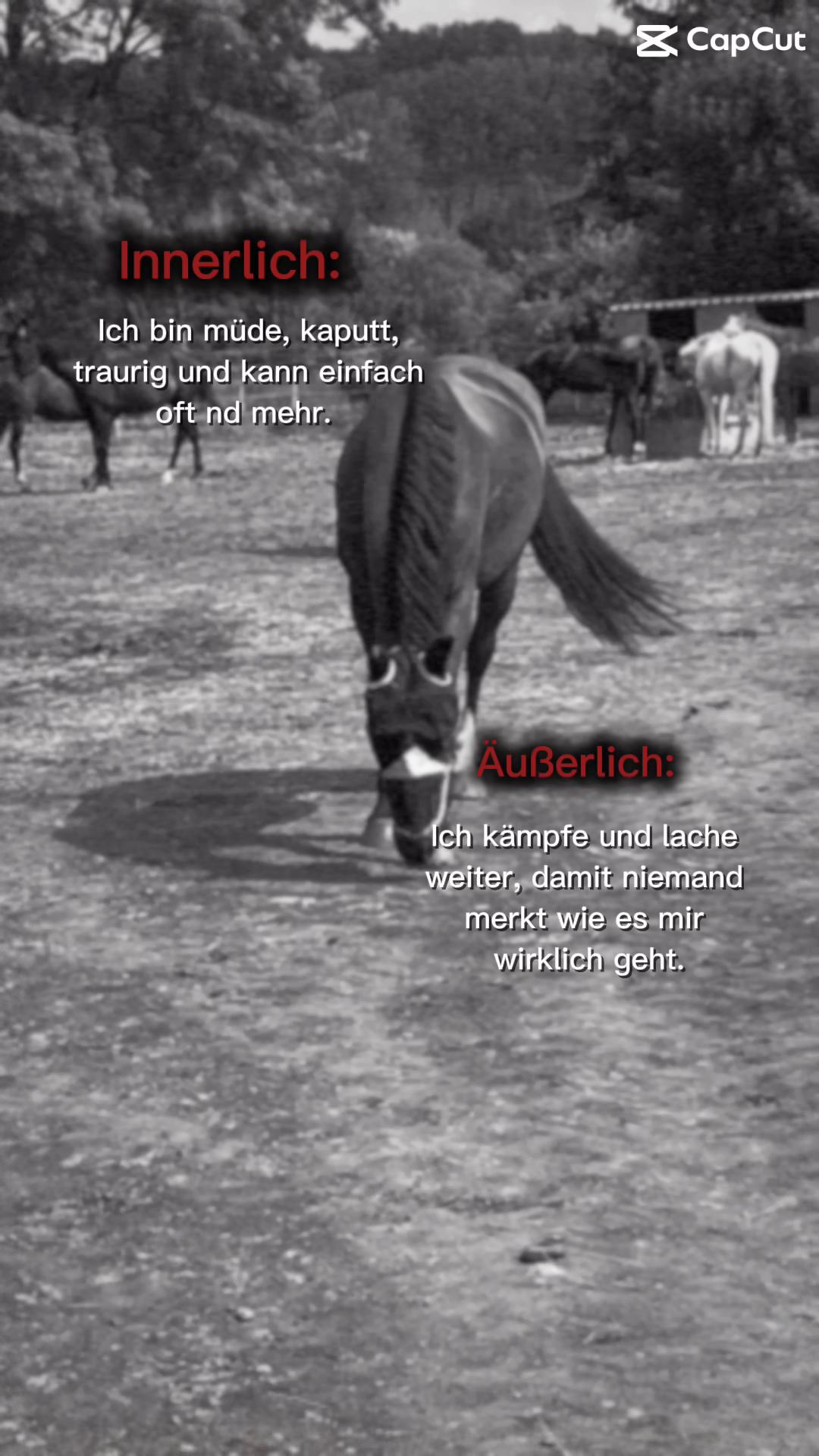 @theri_giotto911