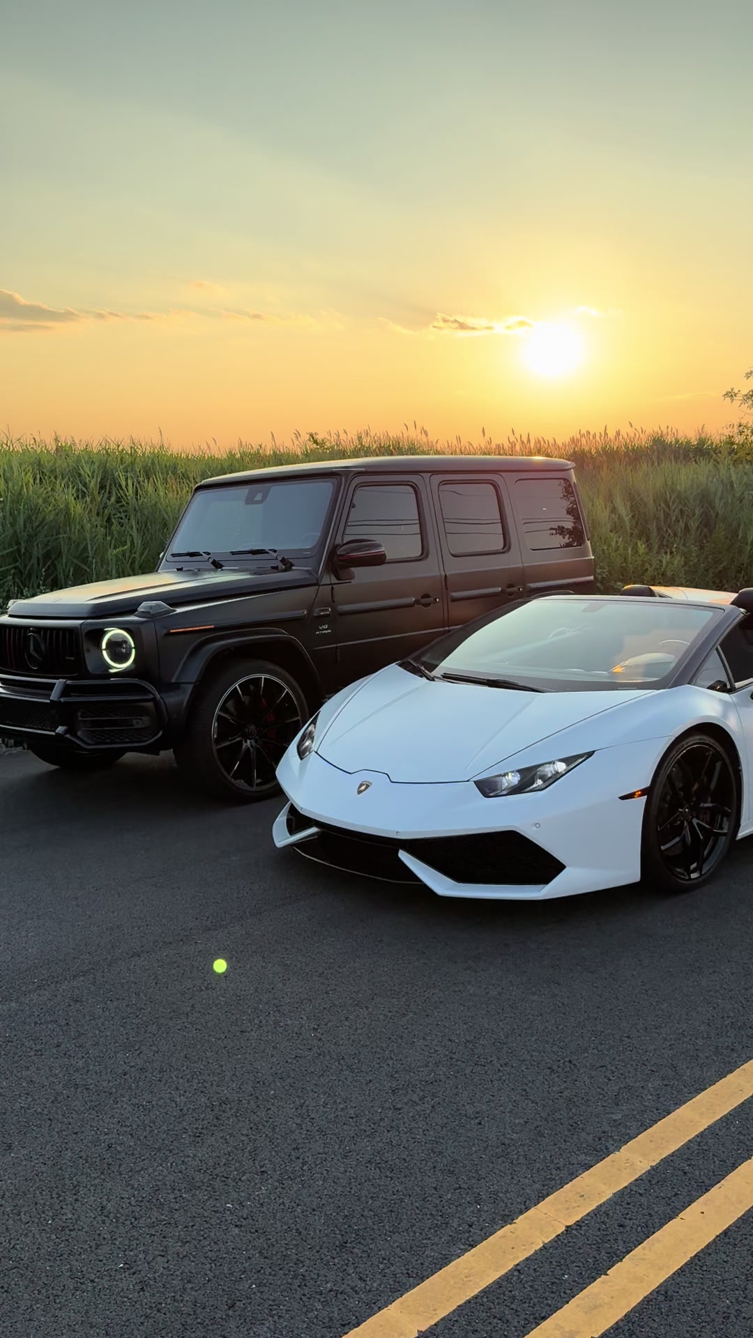 @Champexotics