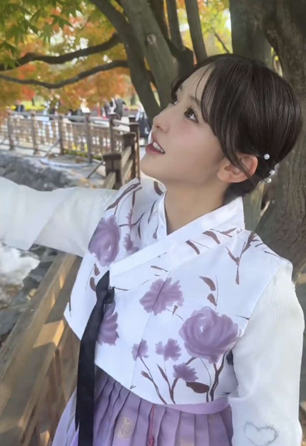 @ひまわり